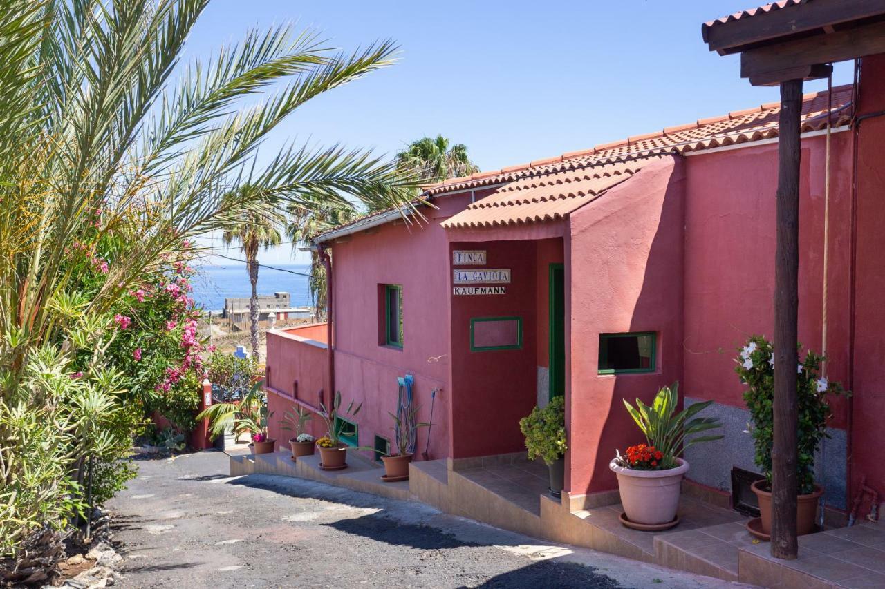 Finca La Gaviota - Las Palmeras إيكود ذي لوس فينوس المظهر الخارجي الصورة